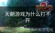 天朝游戏为什么打不开